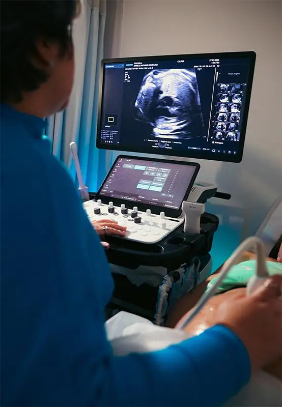 Especialização em ecocardiografia